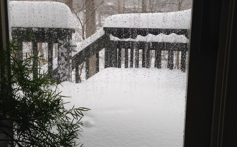 Snow Day, Good. Timing,&nbsp;Bad