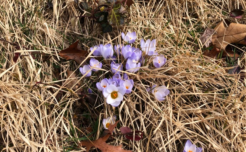 This space intentionally left&nbsp;blank