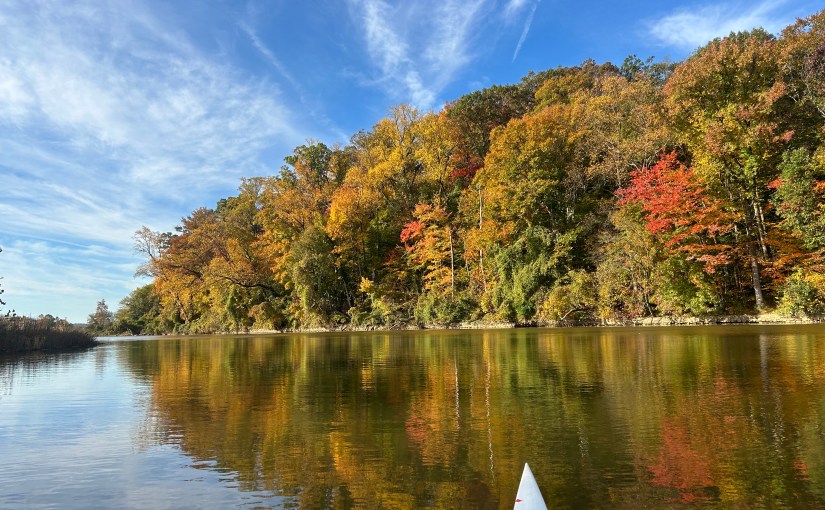 Steering Through the Muck – A Rowing&nbsp;Story
